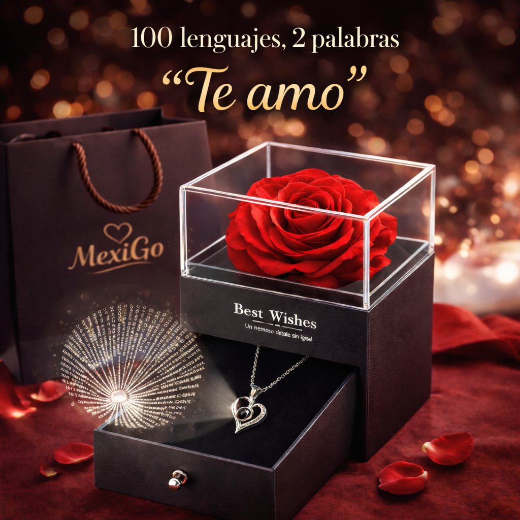 Rosa Eterna Collar Te Amo en 100 Idiomas - Amor que Perdura