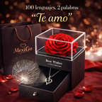 Rosa Eterna Collar Te Amo en 100 Idiomas - Amor que Perdura