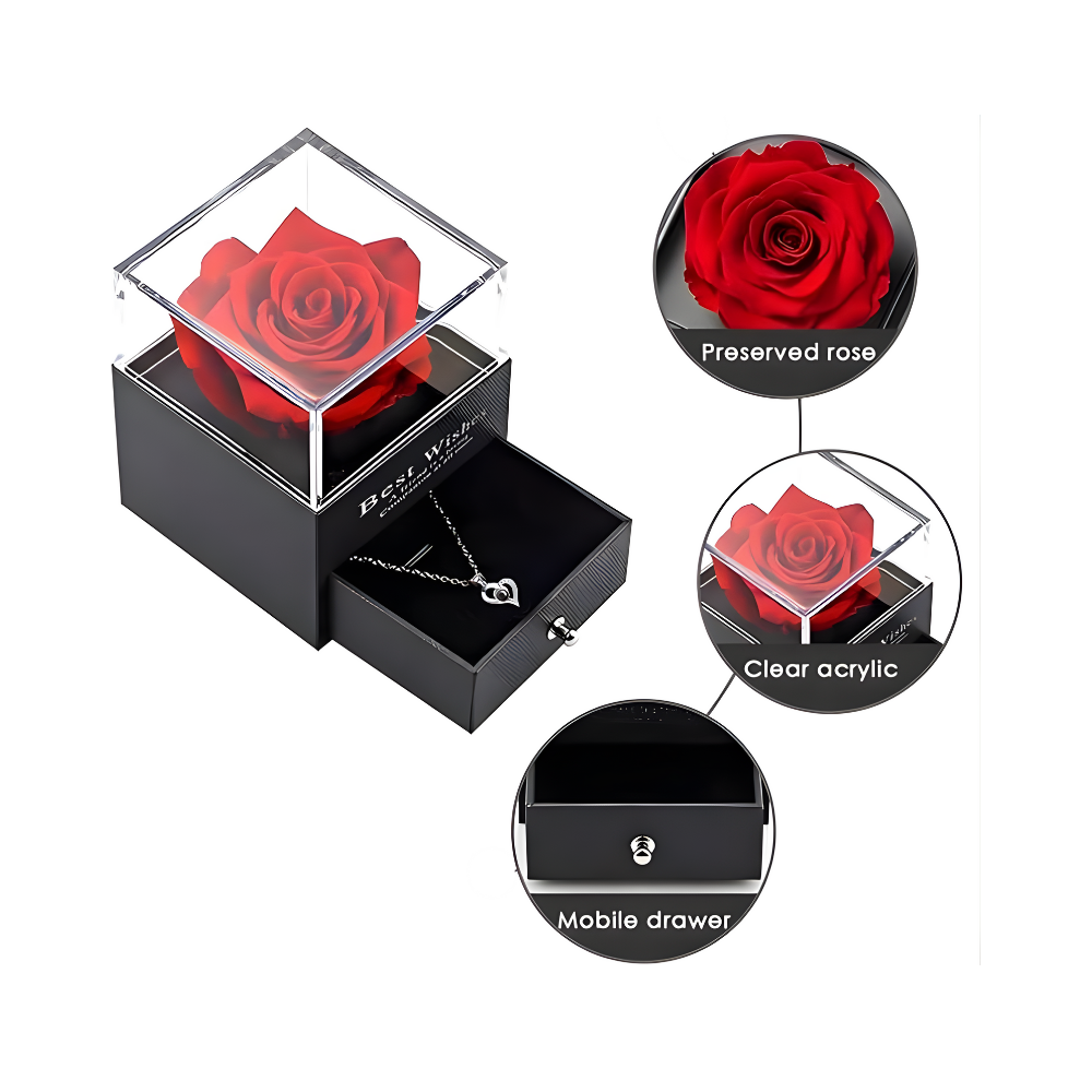 Rosa Eterna Collar Te Amo en 100 Idiomas - Amor que Perdura